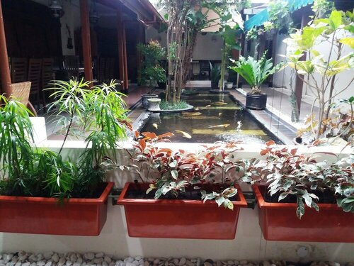 Griya Yunika, Boek Hotel Hotels in Yogjakarta met parkeren, Parkeren