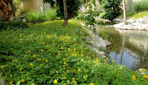 WangPla Villa Resort, Забронировать Курортный отель Накхонсаван Nakornsawan Province
