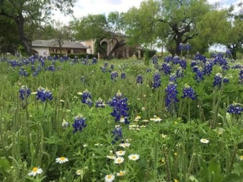 Live Oaks Bed and Breakfast, Забронировать Отель «постель и завтрак» Ювалде штат Техас