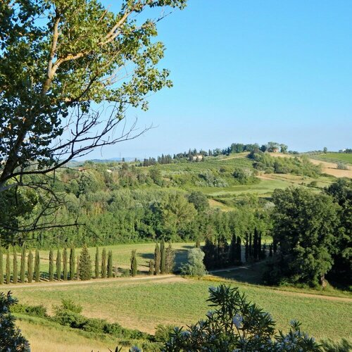 Agriturismo Santo Pietro, Book Landbrugsophold Capannoli hoteller med pool, Swimmingpool