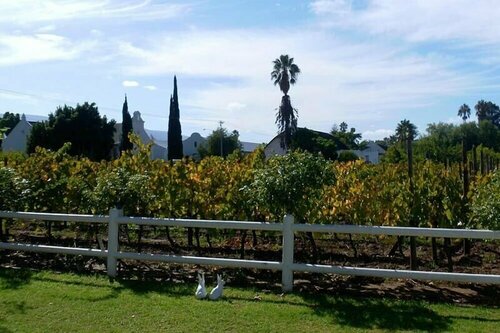 The Vineyard Country House, Забронировать Гостевой дом Монтегю провинция Западный Кейп, рядом с Montagu Museum