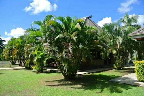 The Friendly North Inn, Réserver Chambre d'hôtes Hôtels à Fiji Outer Islands avec parking, Parking