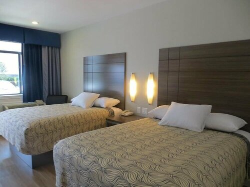 Palace Inn Blue I-45 & Woodridge, Book Hotel Houston Houston