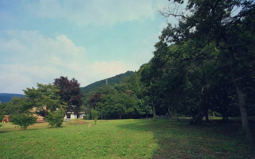 Maple pension