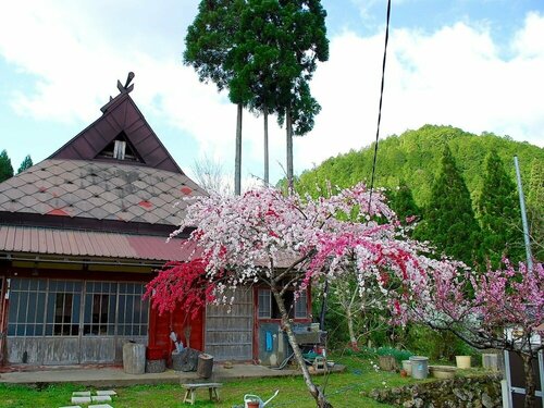 Farm Stay Banja