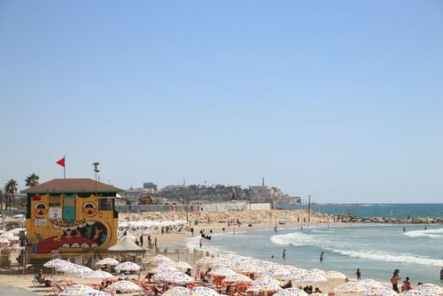 AirTLV - Nes Tziona Luxury By The Sea, Забронировать Апартаменты/квартира Апартаменты Тель-Авива, Апартаменты/квартира