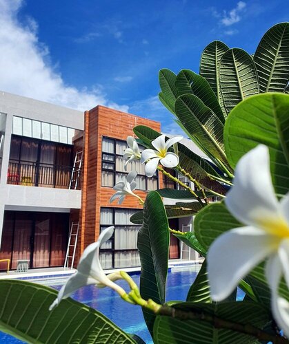 Only Seed Resort 欧芮希度假酒店, Reserva ahora Resort Hoteles de 3 estrellas en Bohol, 3*