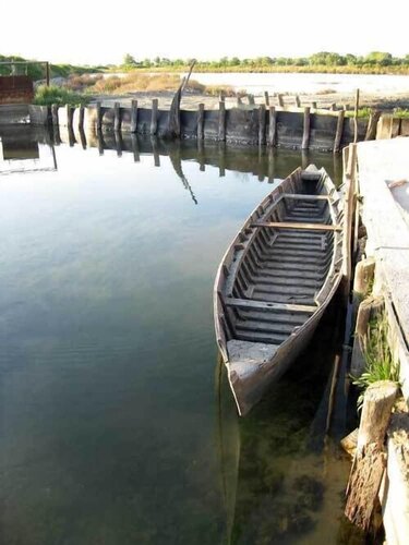 Agriturismo Quietovivere, Book Landbrugsophold Comacchio Lidi di Comacchio