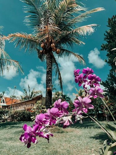 Uluwatu Breeze Village, Rezerwuj Pensjonat Tanie hotele w Bali