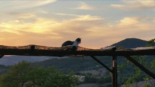 Agriturismo D' Epoca La Marianella, Rezervați Sejur la fermă Trevinano Tuscia