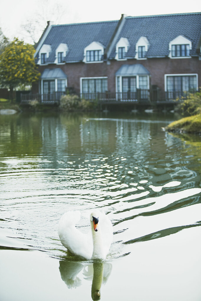 Forest Villa Huis Ten Bosch