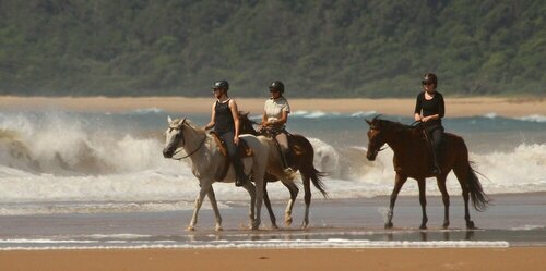 Lodge Afrique, Reservar Hotel St Lucia Maputaland