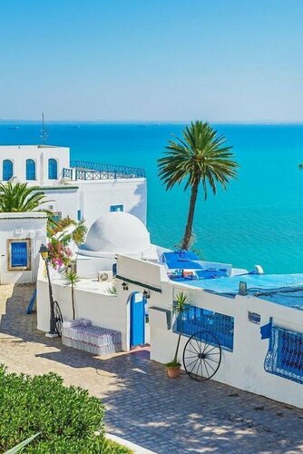 Hotel La Tour Blanche, Rezerwuj Hotel Sidi Daoud Tunis