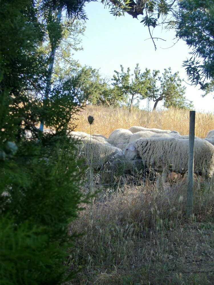 Agroturisme Perola - Adults Only