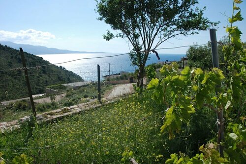 Vila Celi, Reserva ahora Apartamento Hoteles baratos en Saranda
