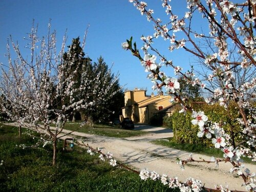 Agriturismo Le Magnolie, Забронировать Отель Отели Лорето-Апрутино с бассейном, Бассейн