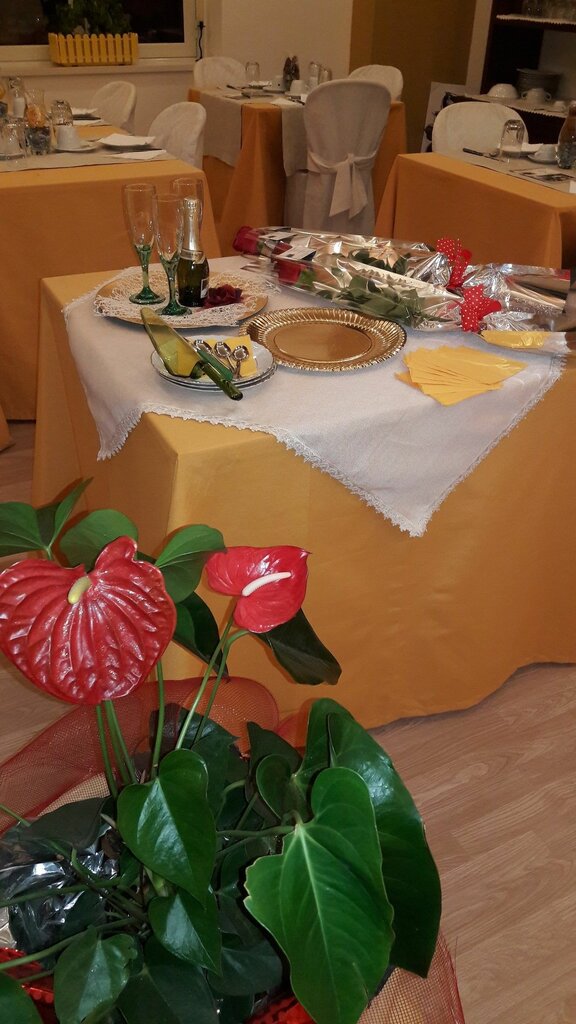 La Terrazza Palace B&B