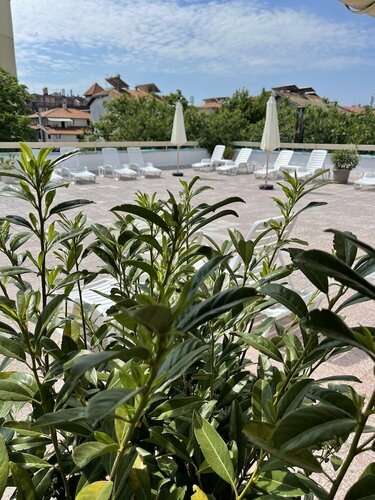 Amadina Garden, Забронировать Отель Отели Района Приморско с парковкой, Парковка
