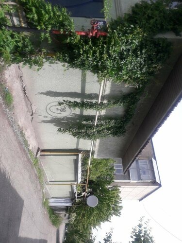 Guest House Vip, Забронировать Гостевой дом Гостевые дома Ошской области, Гостевой дом