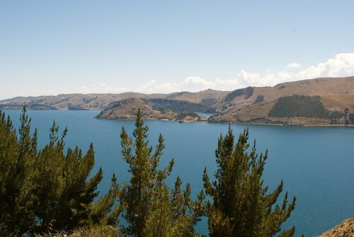 Hostal Florencia - Bolivia, Book Hotel Copacabana La Paz Region