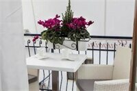 Bougainvillea Relais, Забронировать Гостевой дом Гостевые дома Побережья Сорренто, Гостевой дом