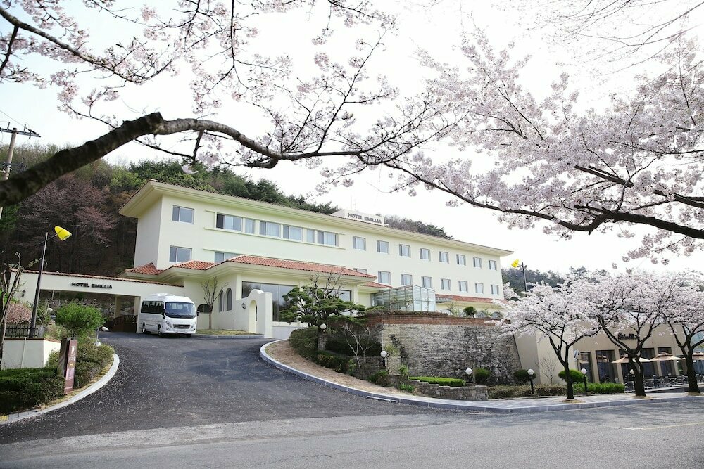 Palgong Emillia Hotel