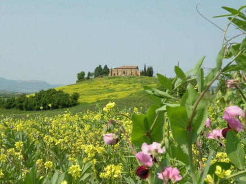 Agriturismo Bonello, Book Landbrugsophold Hoteller i Pienza med pool, Swimmingpool