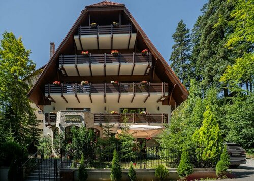 Opus Villa, Забронировать Вилла Синая Sinaia-Azuga-Busteni