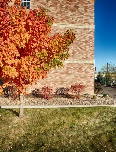 Suburban Studios Denver Central-Arvada, Buchen Sie Hotel Arvada Colorado