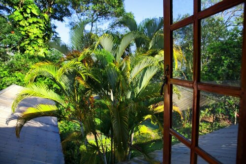Sunnyside Holiday Bungalow, Prenota Bed & breakfast Ella Sri Lanka