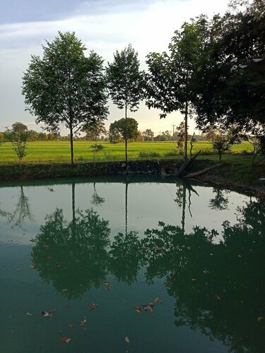 Home Style Resort, Забронировать Курортный отель Курортные отели Buriram Province, Курортный отель