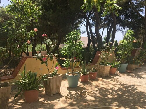 Mediterraneo, Book Pension Triscina Sicilien