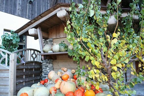 Ferienhof Kampfl, Rezerwuj Hotel Fügen Tyrol