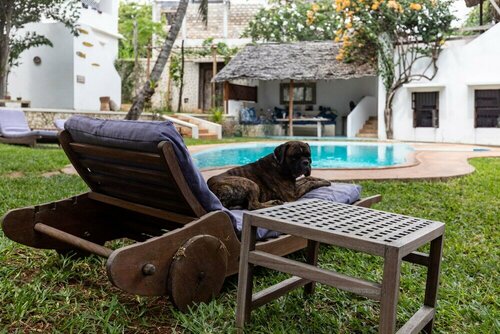 Kijani Hotel, Book Hotel Shela Coast Region