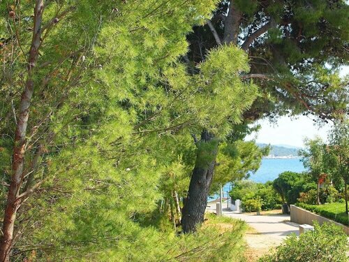 Apartments Villa Rea, Κράτηση Διαμέρισμα Orebic Pelješac