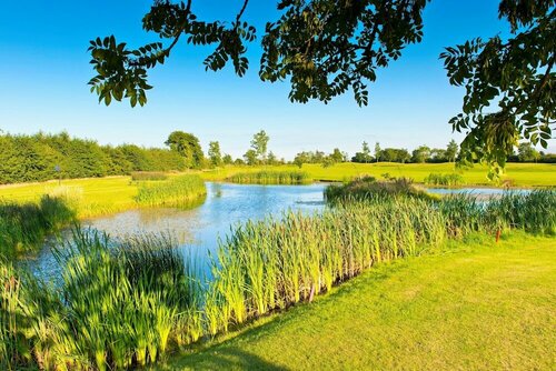 Roganstown Hotel & Country Club, Prenota Hotel Swords Contea di Dublino