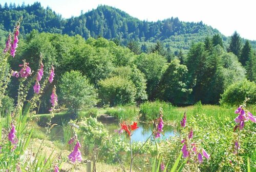 Lucky Mud Inn and Disc Golf Resort, Забронировать Курортный отель Отели Клэтсканей 3 звезды, 3*