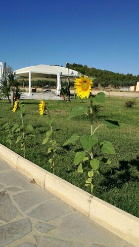 Agriturismo Fieri, Buchen Sie Ferienhaus Belcastro Crotone