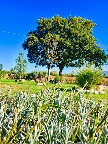 Zio Domenico, Prenota Hotel Hotel a Grumento Nova con colazione, Colazione