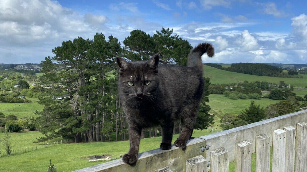 Pukeatua Farmstay