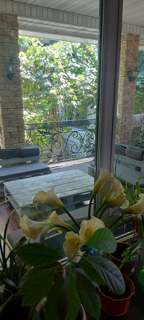 Wanderlust Boutique Hostel