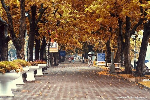 Crescendo Urban Stay - STAY 24h, Забронировать Апарт-отель Отели Ханоя с завтраком, Завтраки