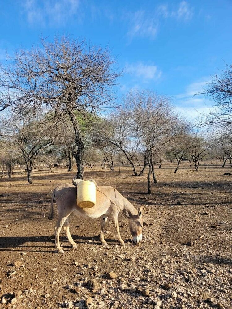 Maasai Eco Boma & Lodge - Experience Maasai Culture