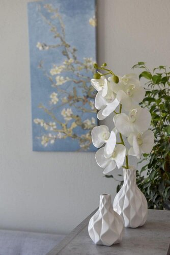 Alos Utopia, Book Guesthouse Hotels in Halkidiki with Breakfast, Breakfasts