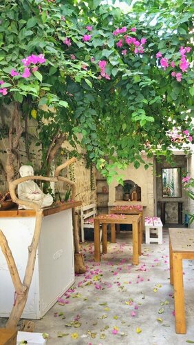 Alaca Butik Otel, Rezerwuj Hotel Çeşme Izmir