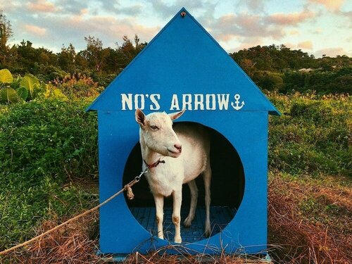 No's Arrow, Book Hotel Hoteller i Okinawa med parkering, Parkering