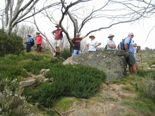 Kosciusko Tourist Park, Забронировать Курортный отель Джиндабайн Kosciuszko National Park