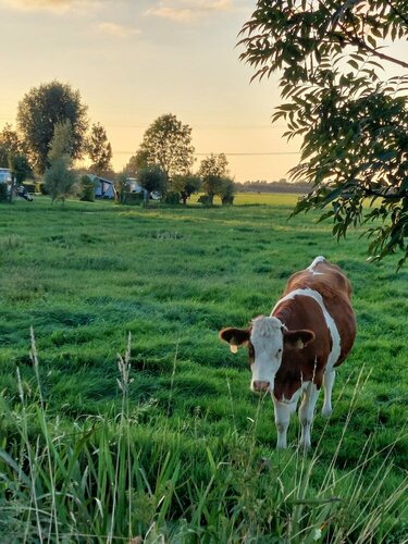 Boerderij Hazenveld, Boek Bed and Breakfast Meerkerk Zuid-Holland