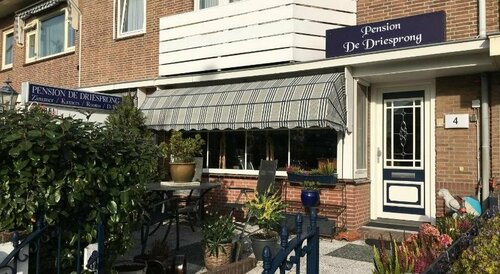 Pension de Driesprong, Забронировать Отель Бизнес-отели Южной Голландии, 4* 5*
