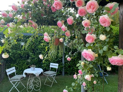 La Locanda Del Tevere, Buchen Sie Hotel Fiano Romano Latium